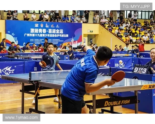 乒乓球运动的魅力与发展探究从竞技技巧到全民健身的全面解析